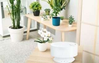 Cool Mist Humidifier