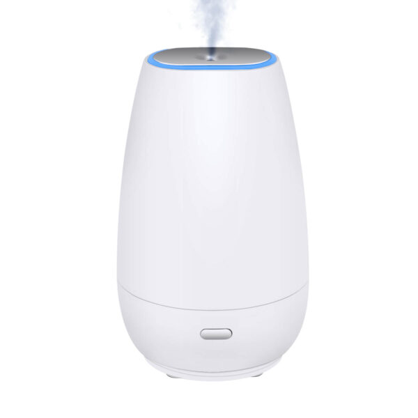 Portable humidifier