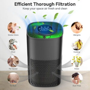 HEPA air purifiers