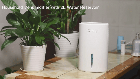 dehumidifier 