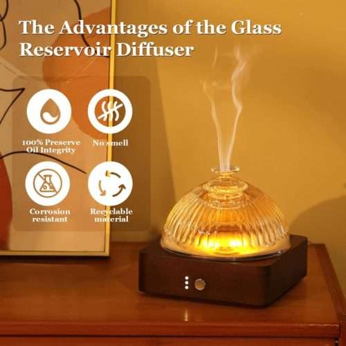 glass diffuser-839